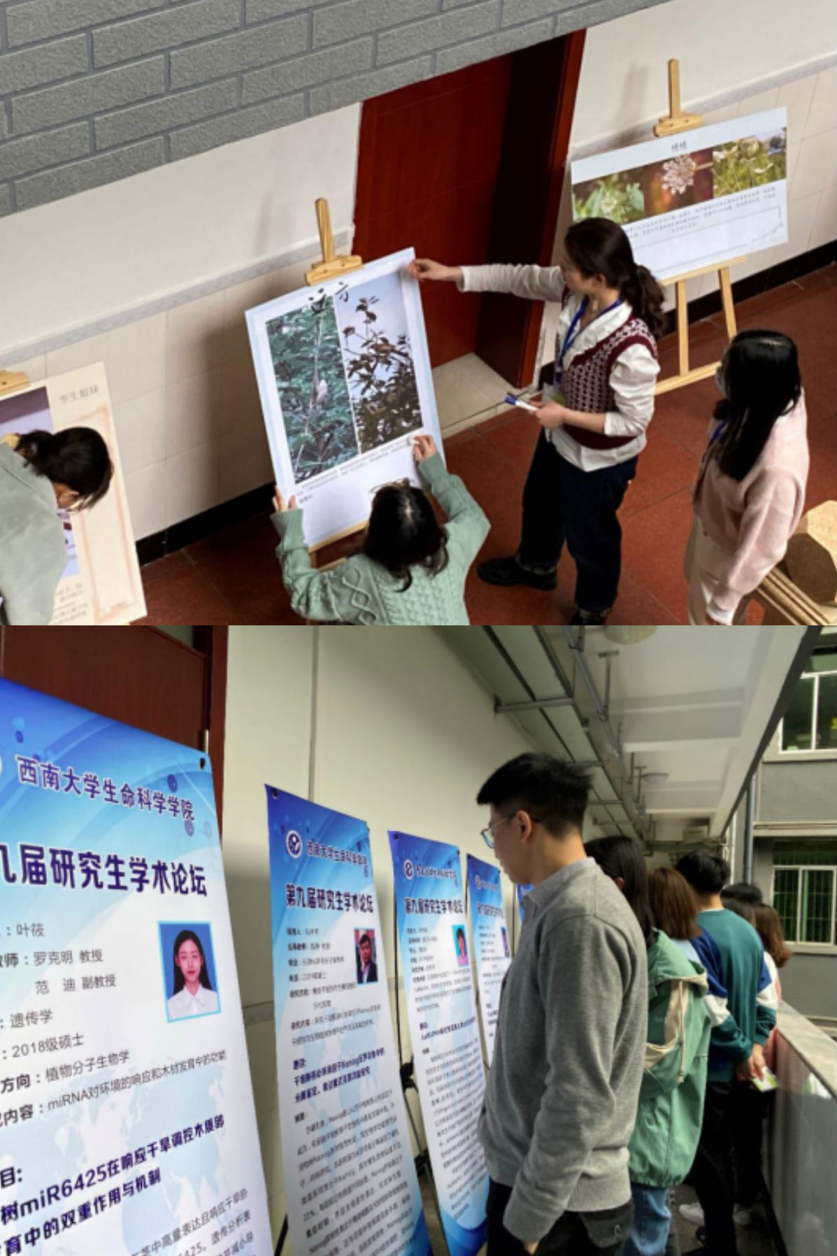 插图2 科研摄影展&学术科研展.png