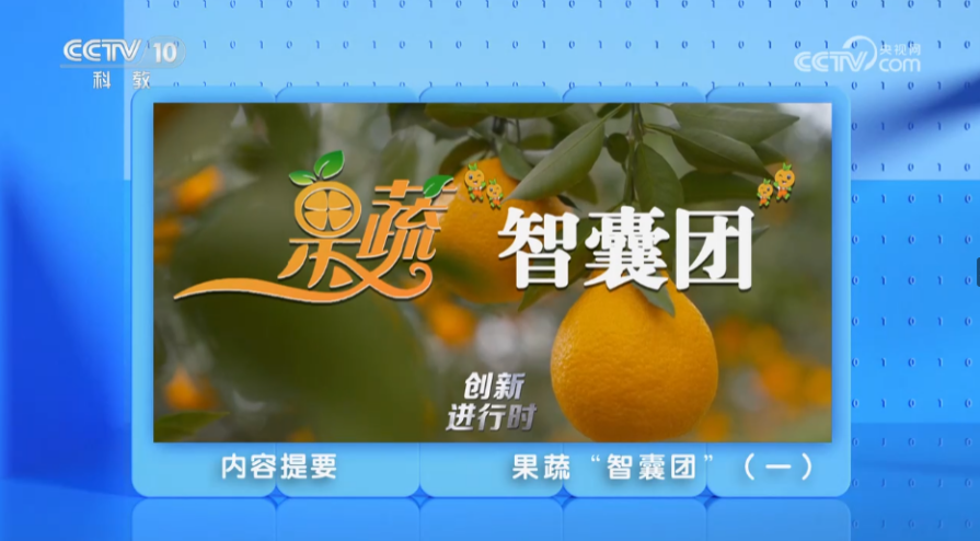 文件名称:image1.png原图大小:NaNGB