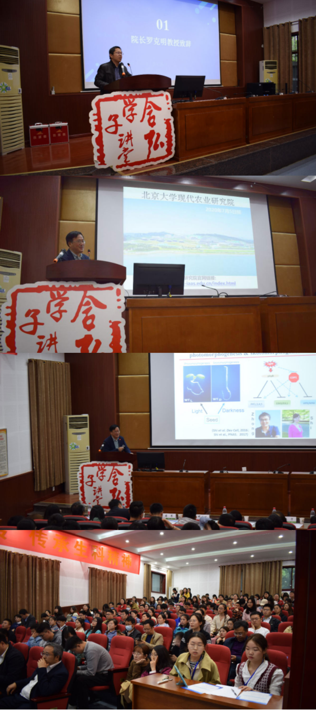 插图1 报告现场气氛热烈.png